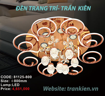 den-led-op-tran-dep-81125-600