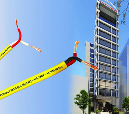 Dây đôi mềm ovan VCmo – LF