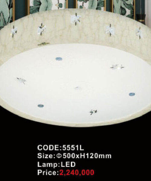 den-op-tran-led-5551l