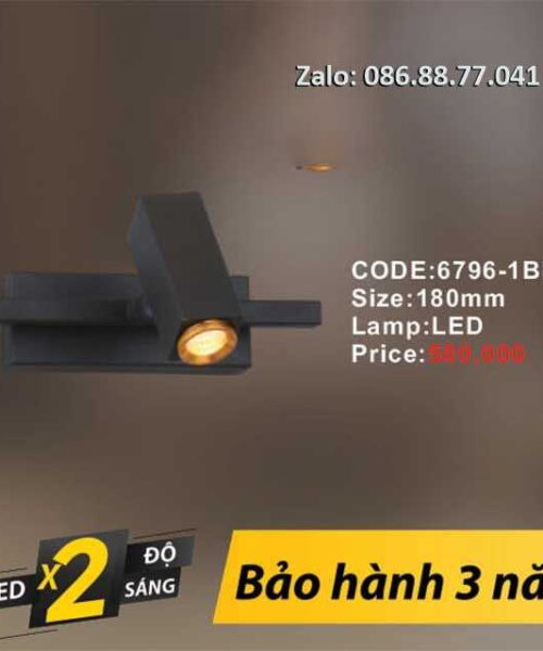 den-soi-tranh-led-6796-1bk