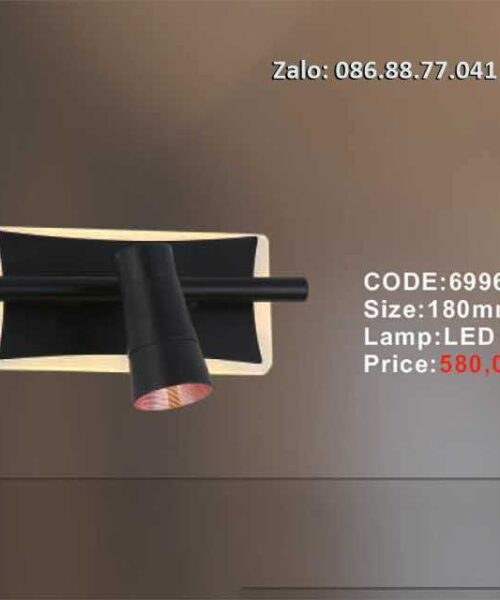 den-soi-tranh-led-6996-1