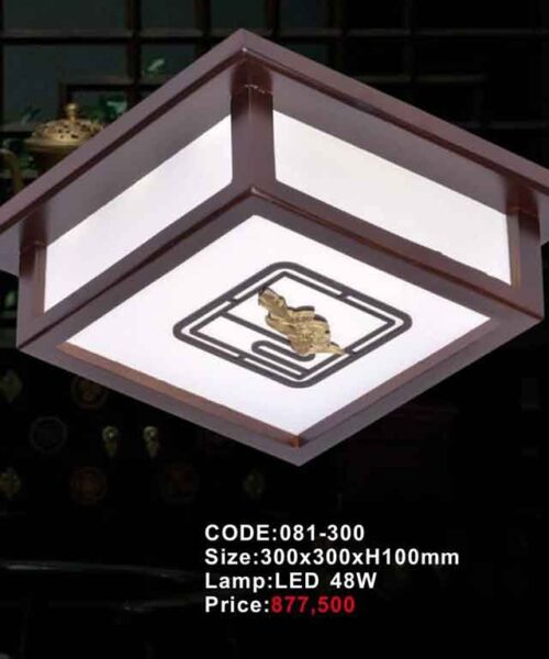 den-op-tran-go-slister-081-300