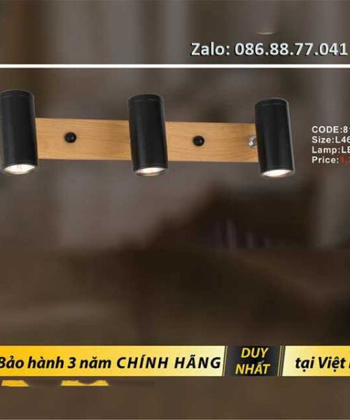 den-led-soi-tranh-8151-3