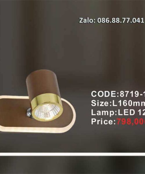 den-led-soi-tranh-8719-1