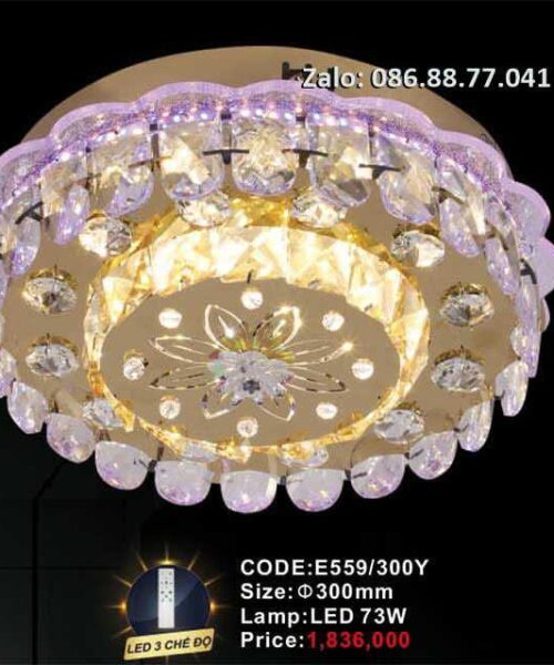 den-led-op-tran-e559-300y