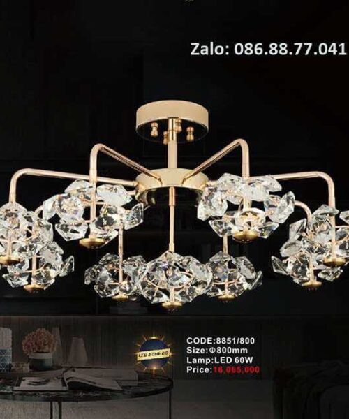 den-tha-pha-le-8851-800