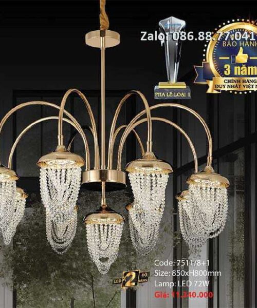 den-tha-pha-le-7511-81