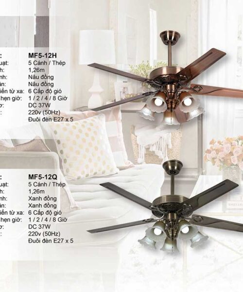 quat-tran-den-mf5-12q