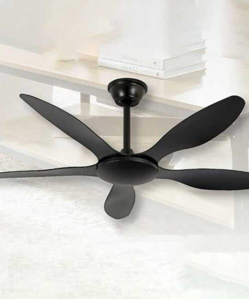 quat-tran-mf5-5bh-mf5-5ch