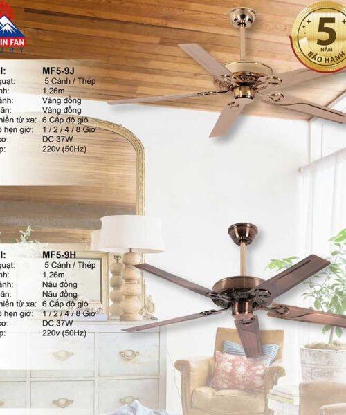 quat-tran-mountain-fan