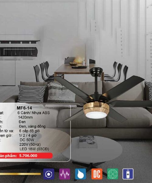 quat-tran-den-mf6-14